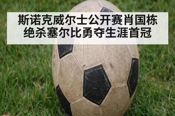 斯诺克威尔士公开赛肖国栋绝杀塞尔比勇夺生涯首冠